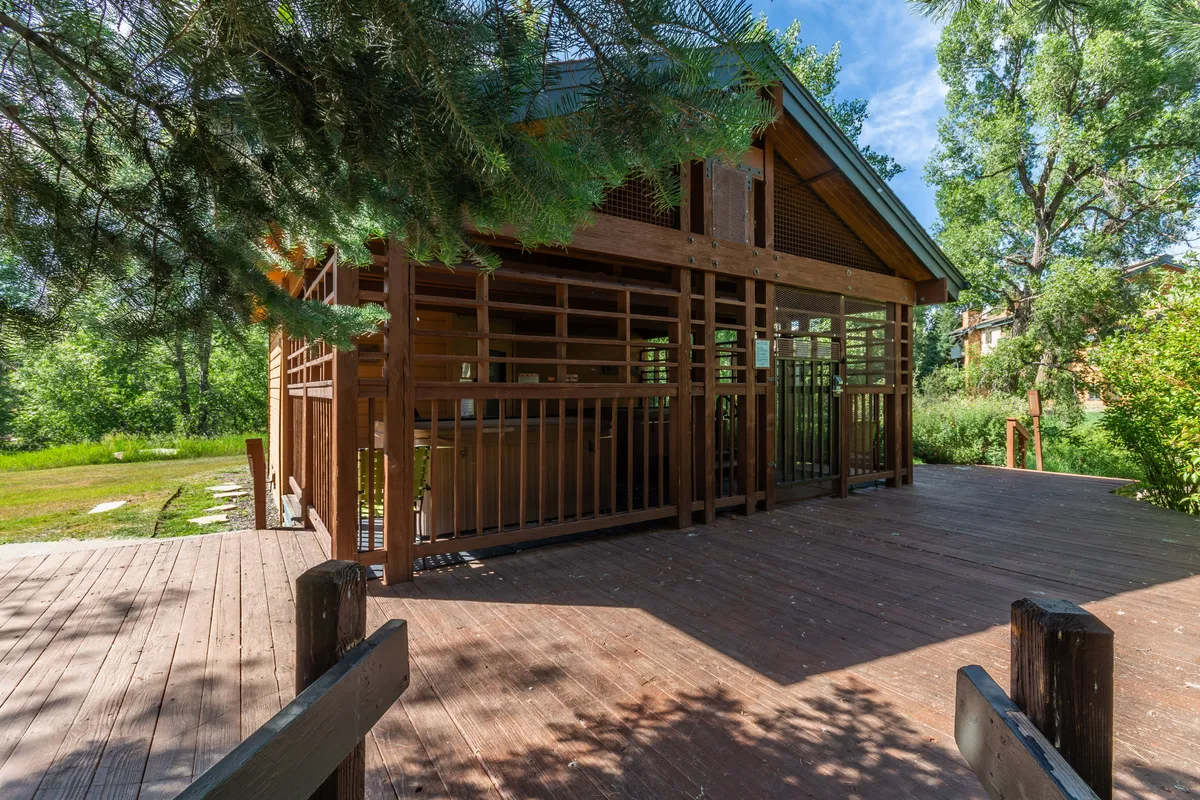 A spacious deck constructed with wood, surrounded by thriving greenery. The outdoor space offers a peaceful spot for relaxation, family gatherings, or morning coffee in nature’s embrace.
